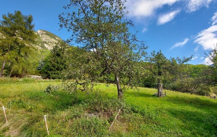 Terrain VAUJANY (38114)  2 800 m2 395 000 € 