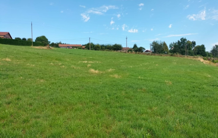 Terrain SAINT-FLOUR (15100)   236 500 € 