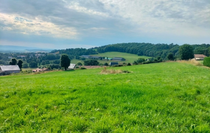 Réseau Immo-diffusion : Terrain  SAINT-FLOUR   236 500 € 