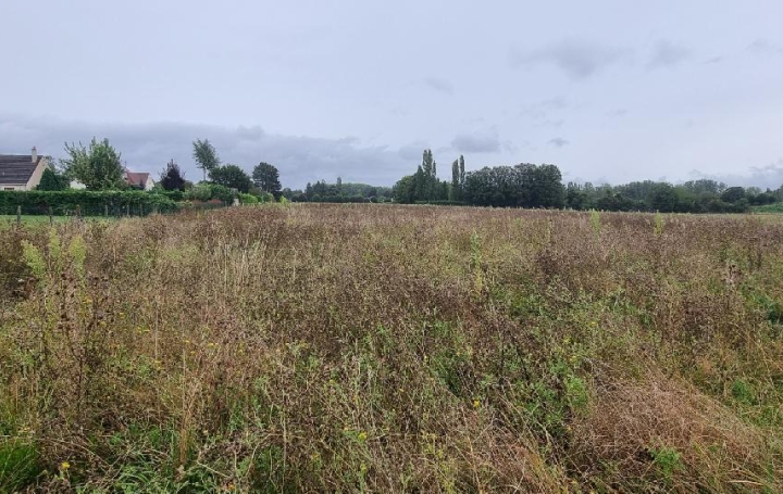 Réseau Immo-diffusion : Terrain  COURLON-SUR-YONNE  1 250 m2 37 500 € 