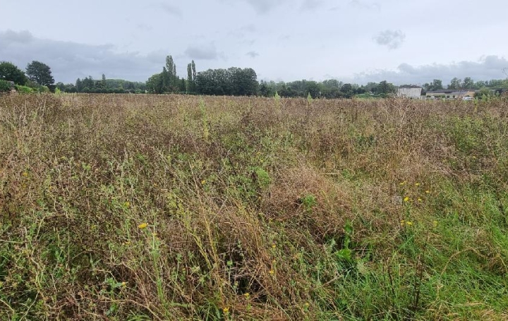 Terrain COURLON-SUR-YONNE (89140)  1 250 m2 37 500 € 