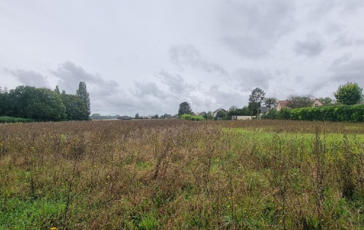 Réseau Immo-diffusion : Terrain  COURLON-SUR-YONNE  4 100 m2 37 500 € 