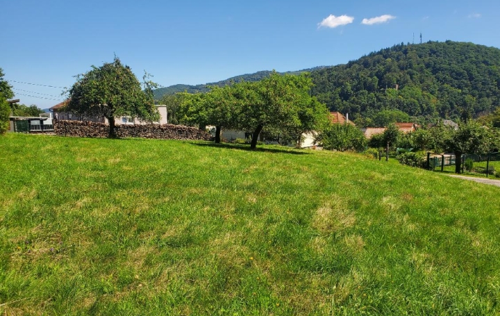 Réseau Immo-diffusion : Terrain  LA BROQUE  1 230 m2 134 000 € 