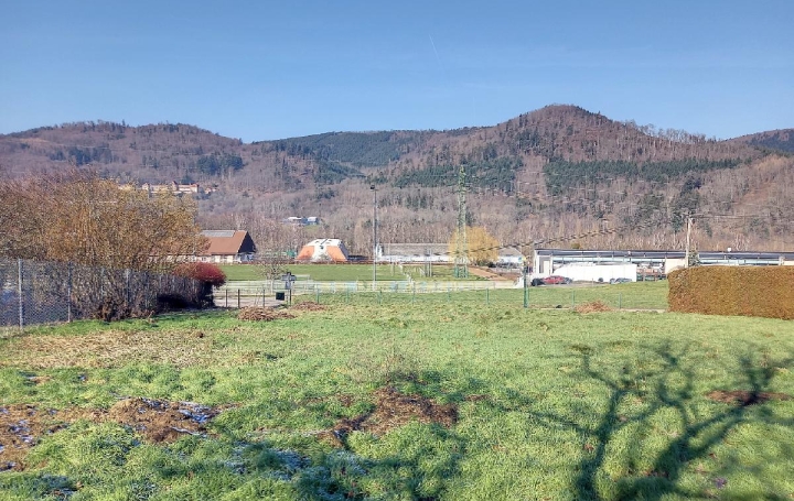 Terrain BAREMBACH (67130)  885 m2 124 000 € 