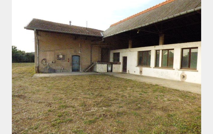 Maison LUNEVILLE (54300)  290 m2 283 500 € 