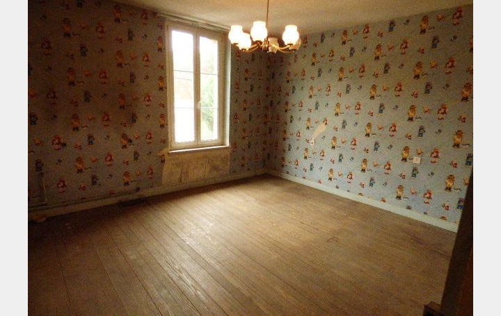 Maison CIREY-SUR-VEZOUZE (54480)  120 m2 55 000 € 