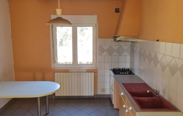 Maison DIEUZE (57260)  120 m2 94 500 € 