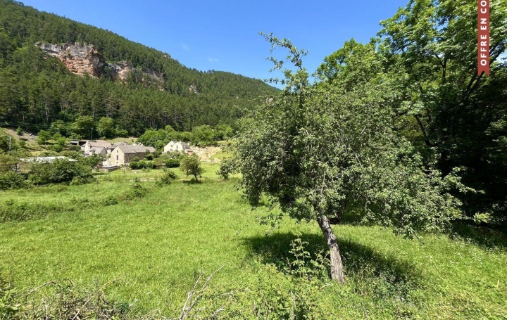 Terrain LANUEJOLS (48000)   33 000 € 